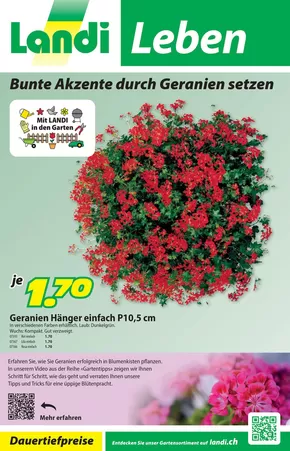 Landi Katalog | Sonderängbot für Sie | 2025-04-15T00:00:00.000Z - 2025-04-29T00:00:00.000Z