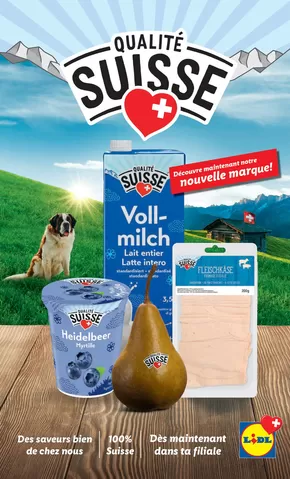 Lidl Katalog | Top-Ängbot für Sparfüchse | 2025-05-22T00:00:00.000Z - 2025-05-27T00:00:00.000Z