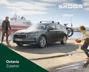 Prospekt Original Zubehör ® - Octavia