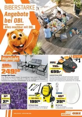 Alles machbar mit OBI.